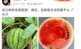 娱乐圈吃瓜的图片大全,揭秘明星幕后生活瞬间