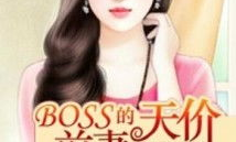 天价前妻全文免费阅读,前妻归来，总裁的深情救赎